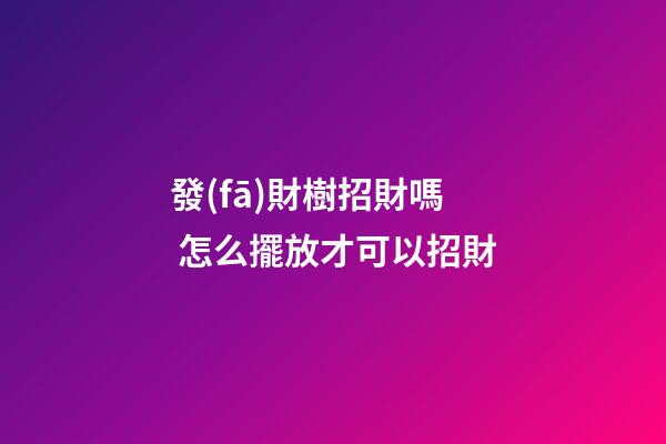 發(fā)財樹招財嗎 怎么擺放才可以招財